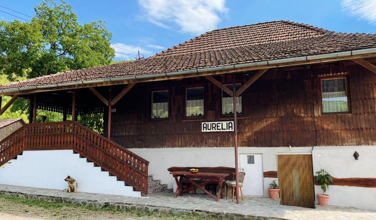 Casa Aurelia Hotel Chiscau Eksteriør billede