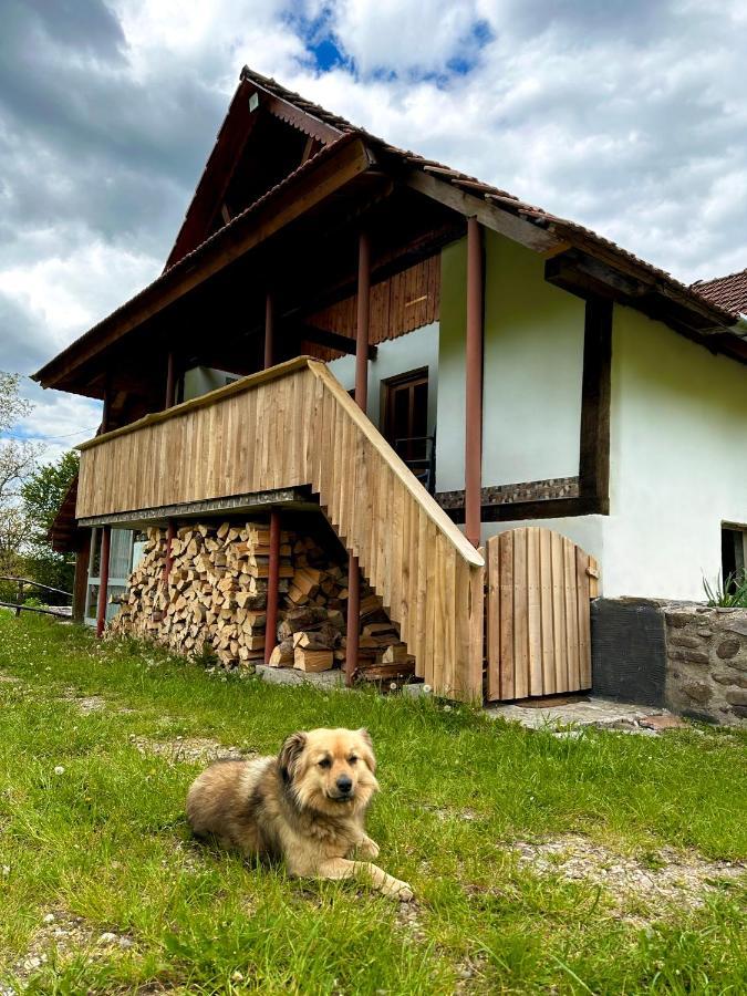 Casa Aurelia Hotel Chiscau Eksteriør billede